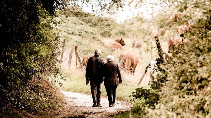 4060737192543195 image