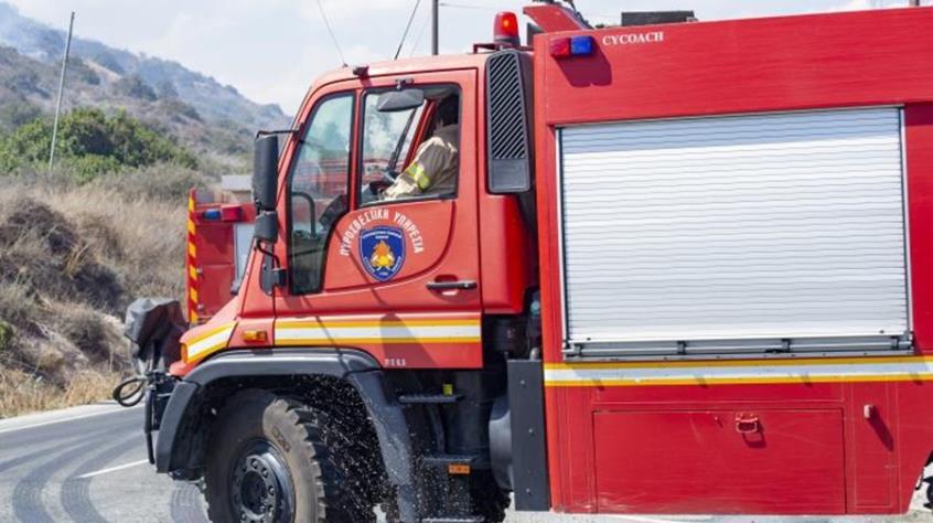 4064733613507286 image