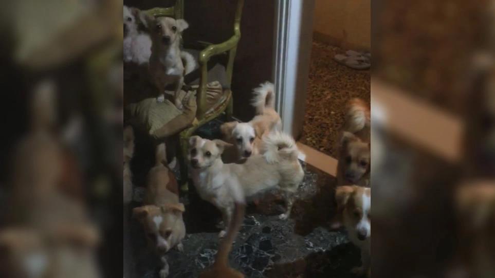 4065721692156893 image