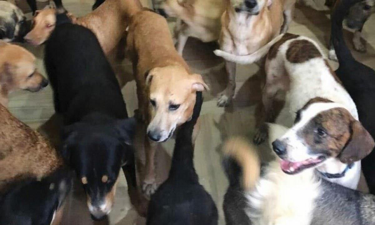 4065817869456677 image