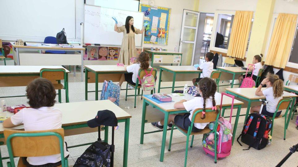 4066640560236289 image