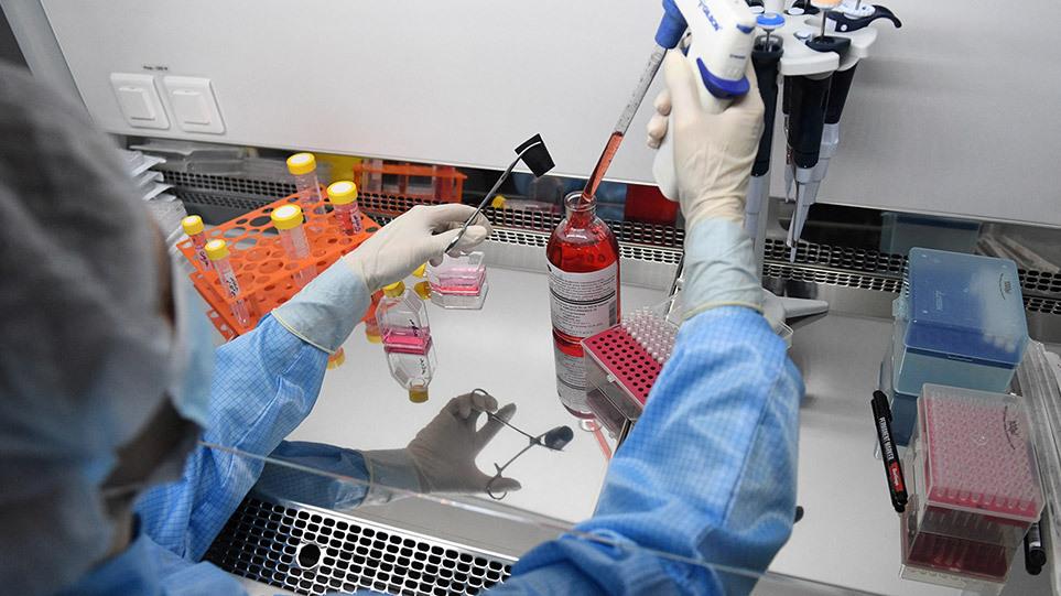 4074183151085645 lab-main11