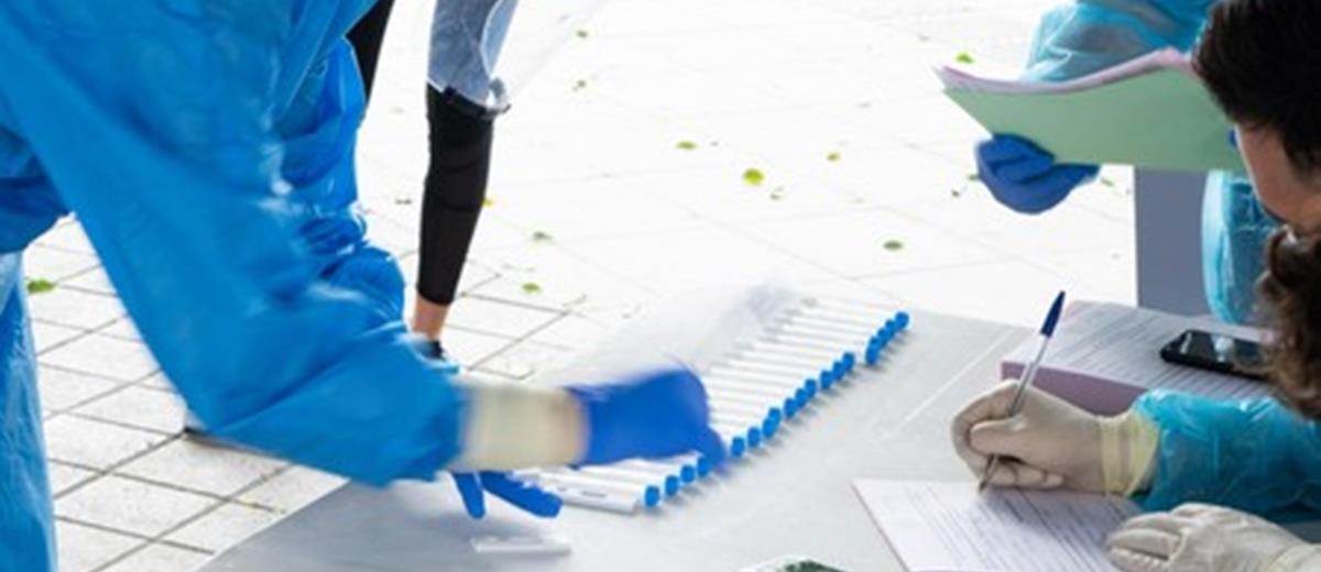 4076886794895371 Rapid test cover3