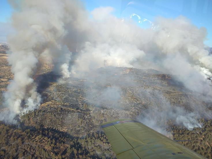 4077584306509314 image