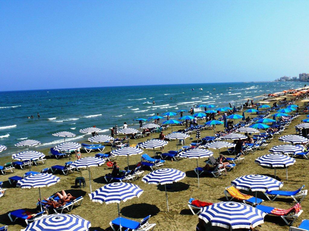 Λάρνακα Φοινικούδες