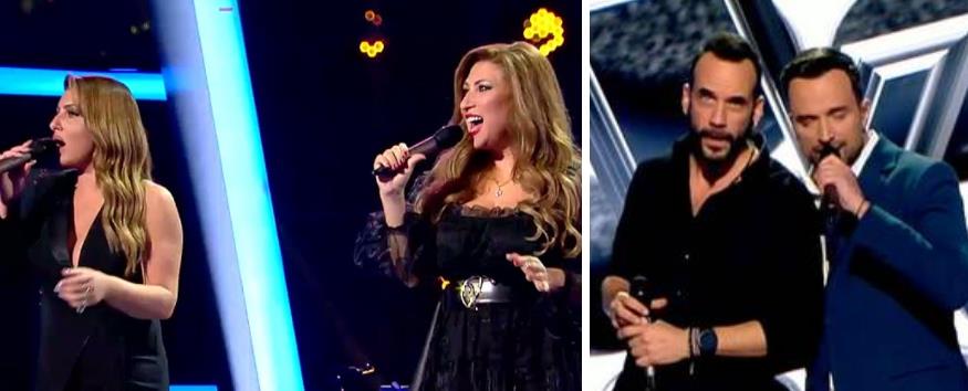 4079289491167939 image