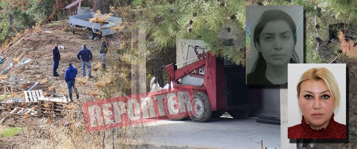 4079421768533355 image