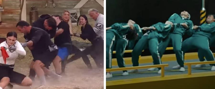 4080145450503872 hgfhgf