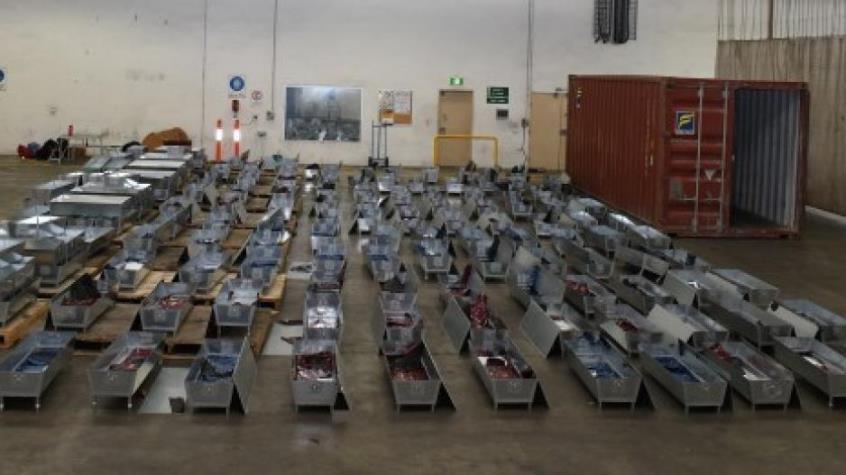 4081912729005509 image