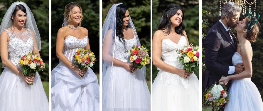 4084502288986581 HFF