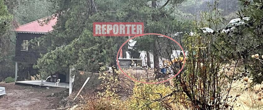 4088043462125363 image