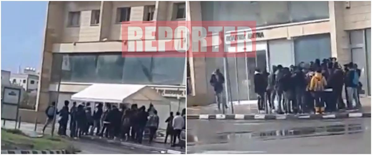 4088058833974825 cats