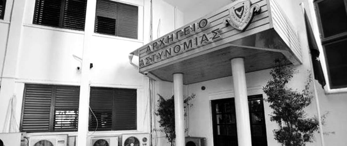 4091739545220000 cats