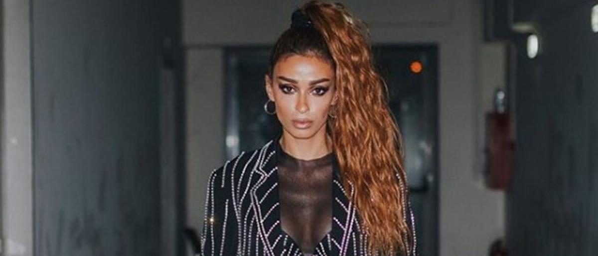 4095641072799977 cats