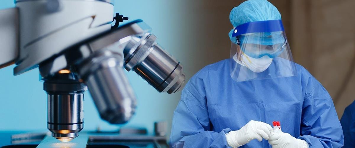 4097898935195791 image