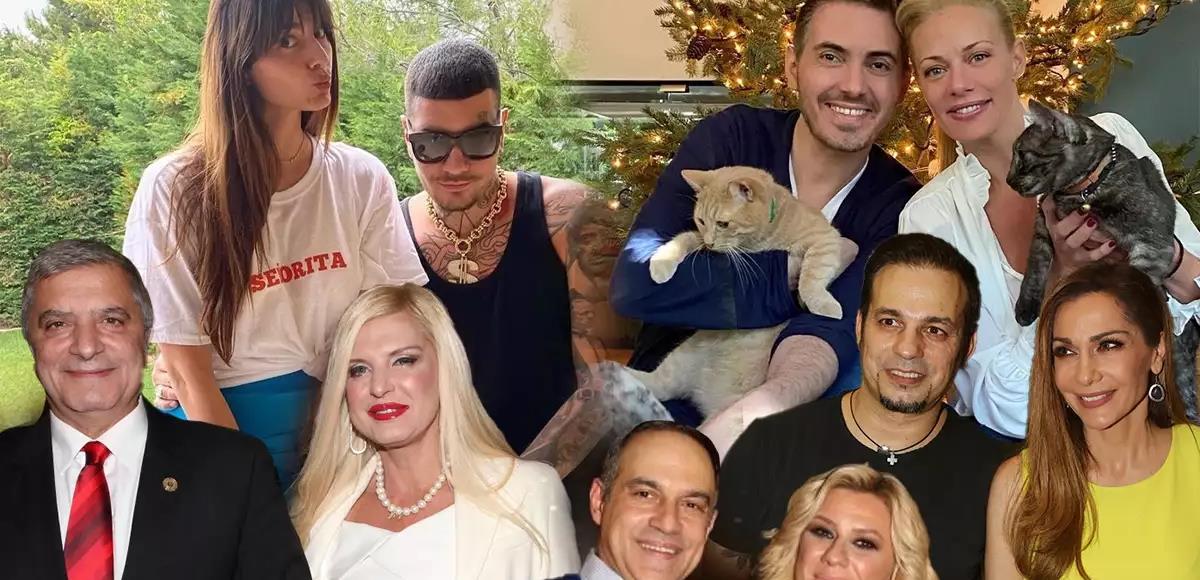 4098300761183972 cats