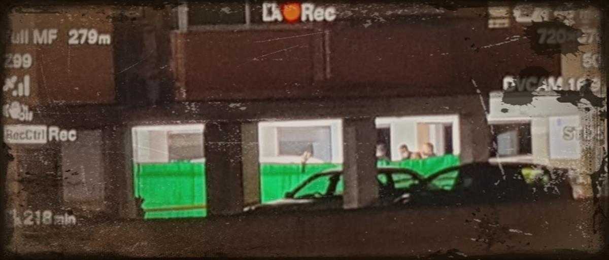 4101248335232000 cats