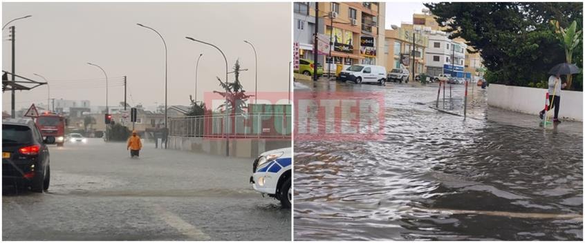 4102058308855028 image