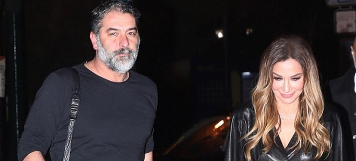 4102086822545028 cats