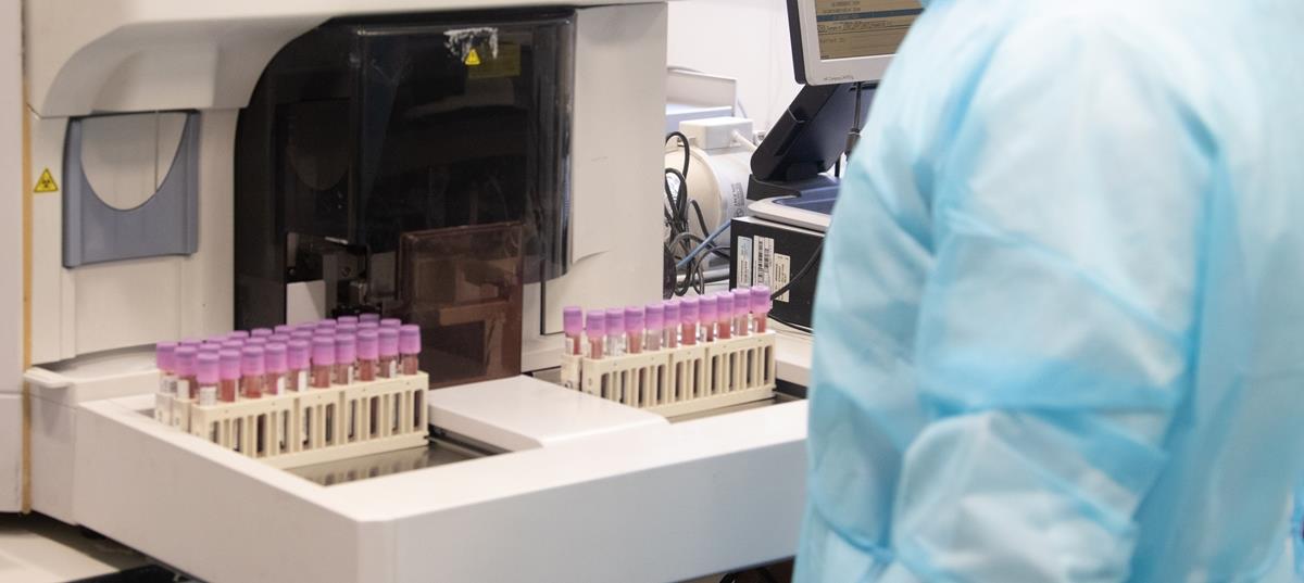 4109529056538898 assets gallery 2069 27486