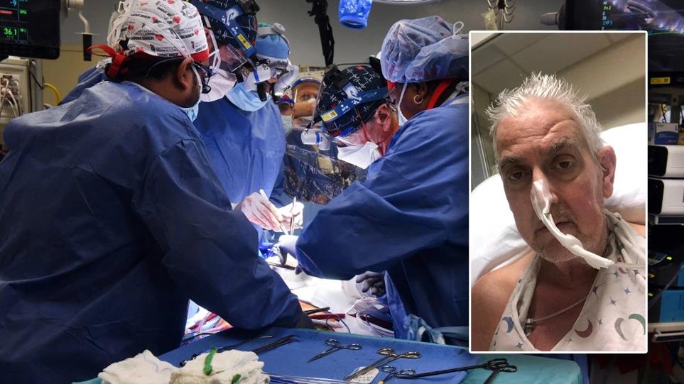 4111251160814586 image