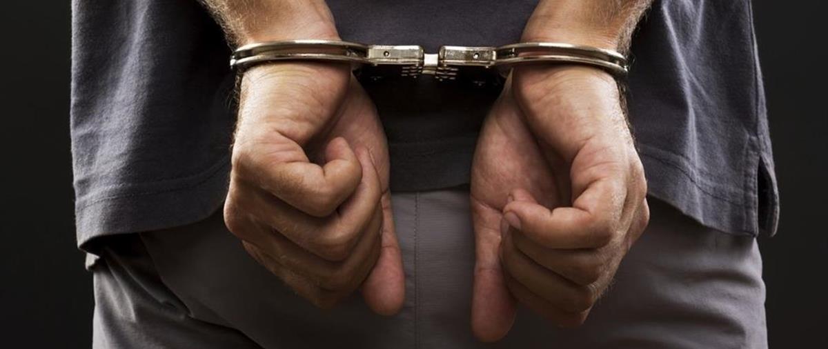 4112929580435117 cache 1500x3000 Analog medium 565016 71782 782018