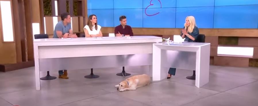 4114770932305369 JFDGDJGF