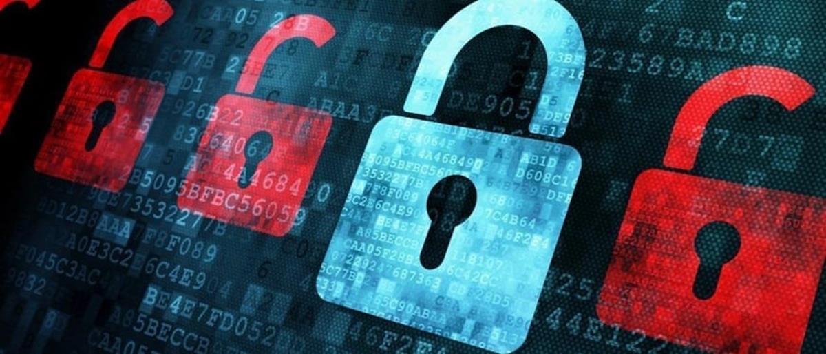 4119972675366728 cats