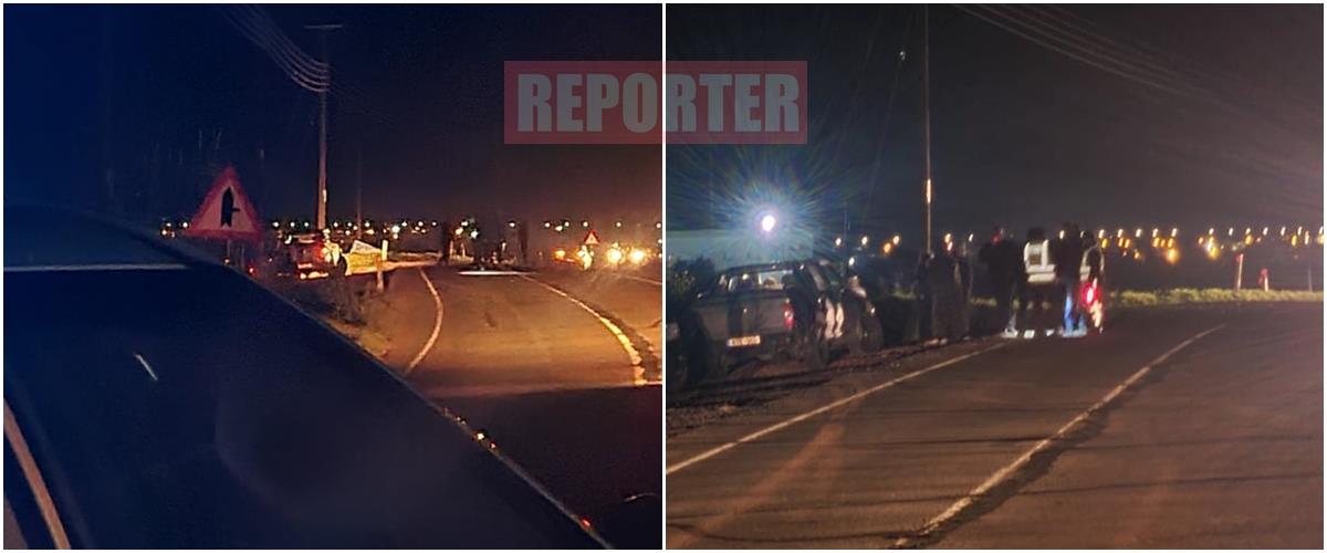 4122902061249136 cats