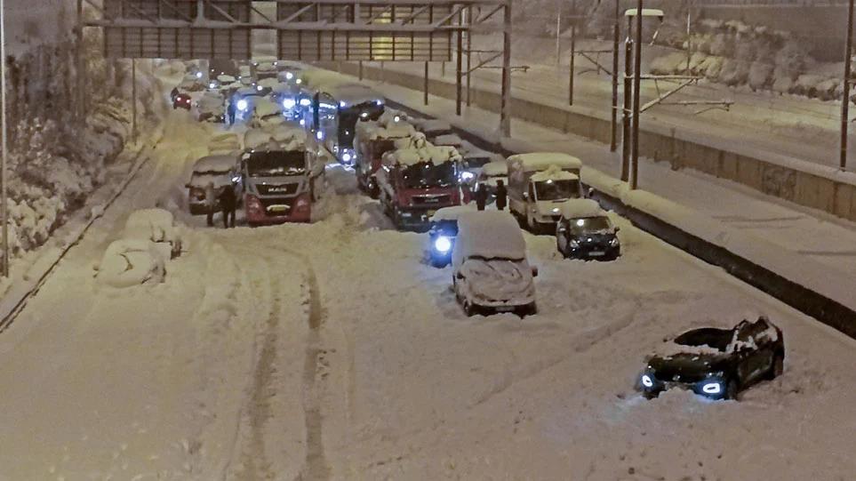 4123264528357072 image