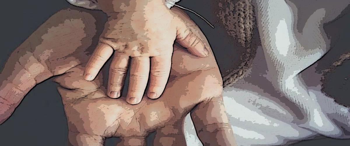 4123500229174051 fsdfsdfsdfsd