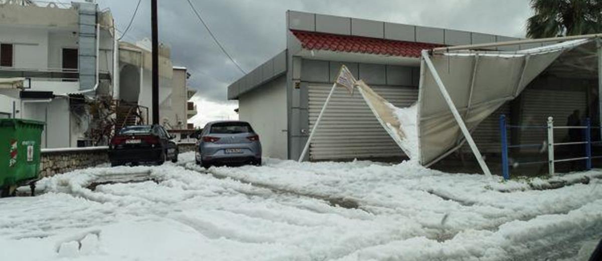 4123548336219920 cache 846x3000 Analog medium 910490 61851 2512022