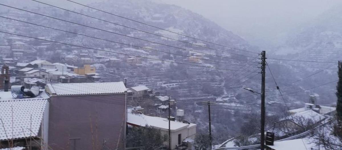 4124332910332502 cache 846x3000 Analog medium 908156 279391 1912022