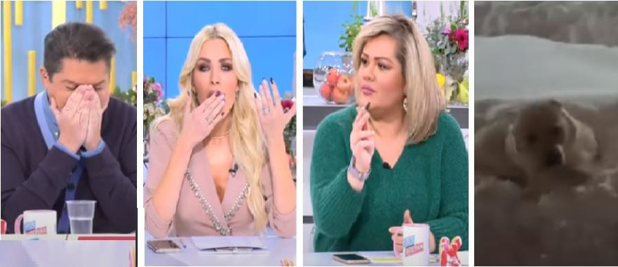 4125190417440372 φ χβφ