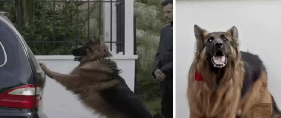 4125988142427086 hdf