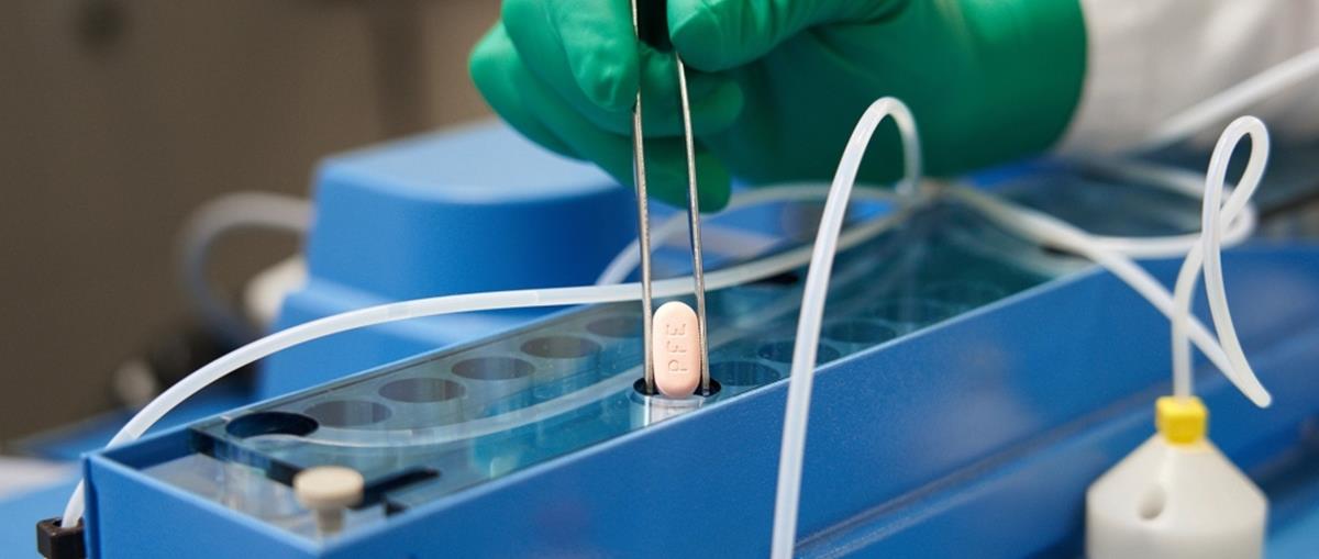 4126009170780288 image