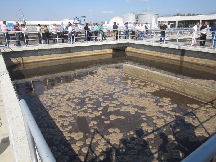 4126206087306946 image