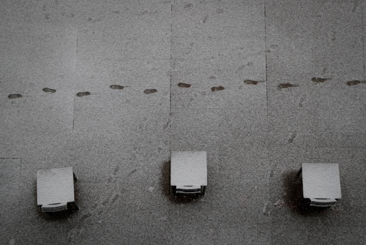 4126349787574124 image