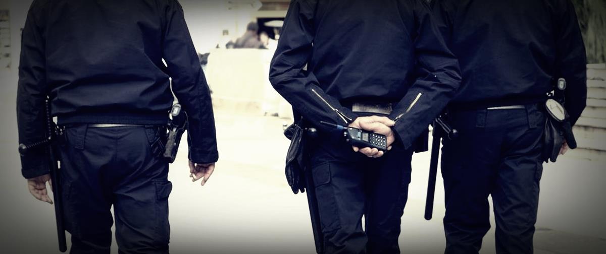 4126361260873448 cats