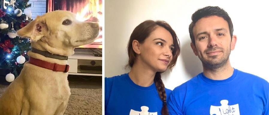 4129530954614197 γγγ