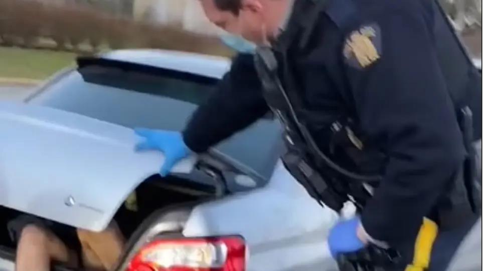 4134584990270630 image