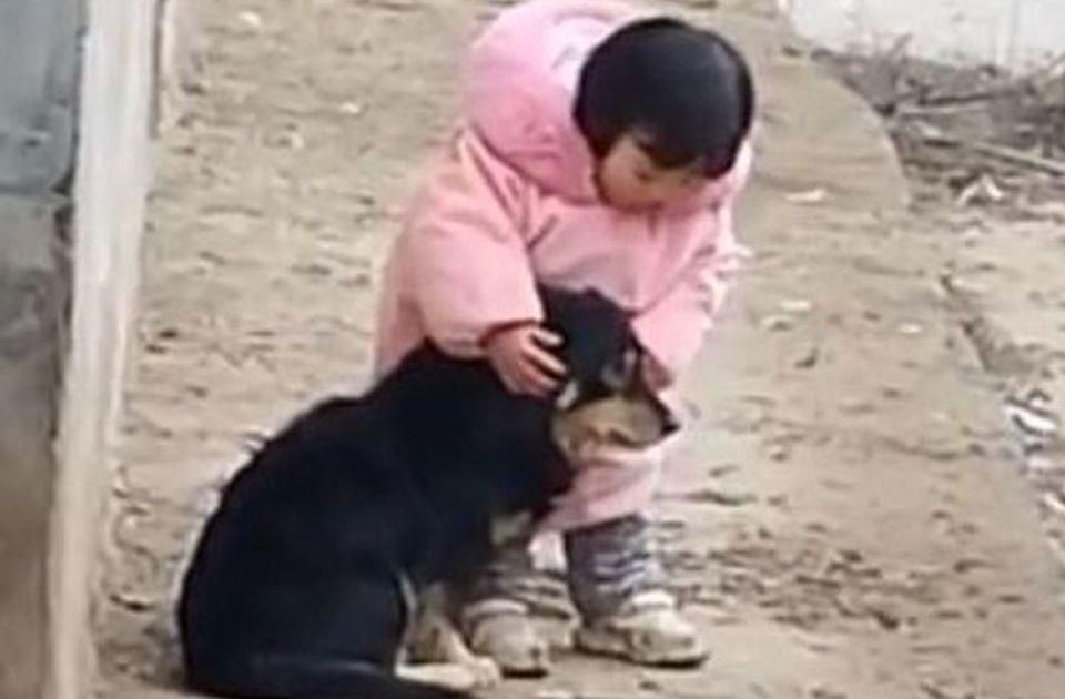 4134863071969741 image