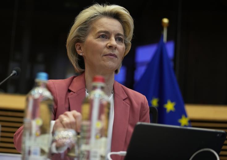 4134921652602195 image