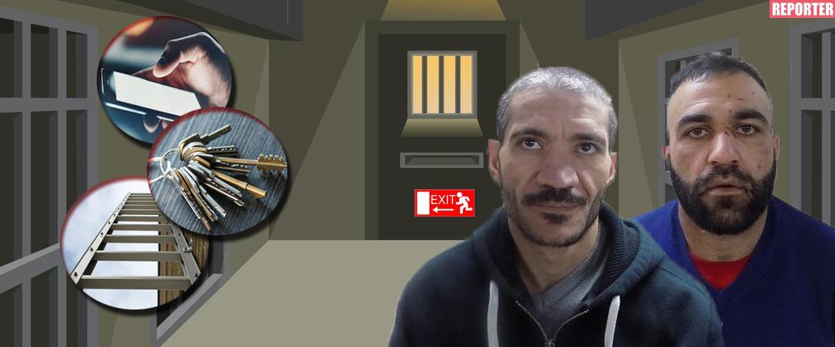 4137332701297707 image