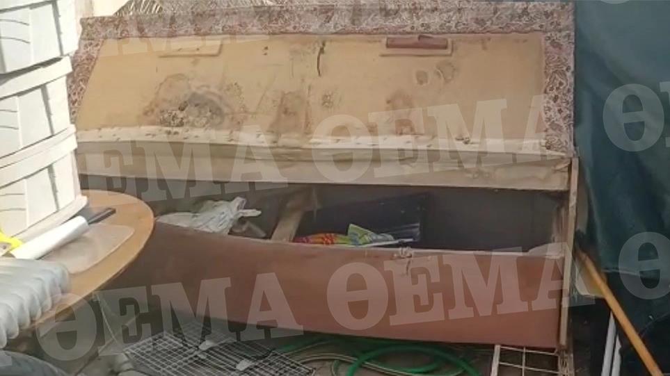 4139176752878953 image