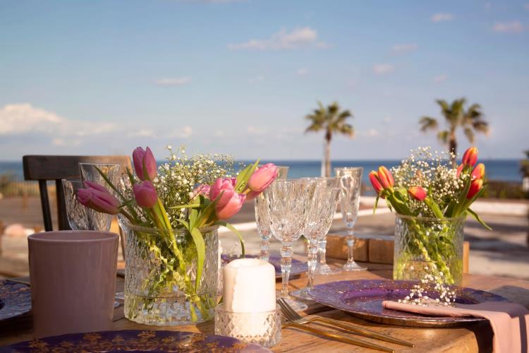 4141661877564403 273614049 527297612086878 6377119503780344734 n