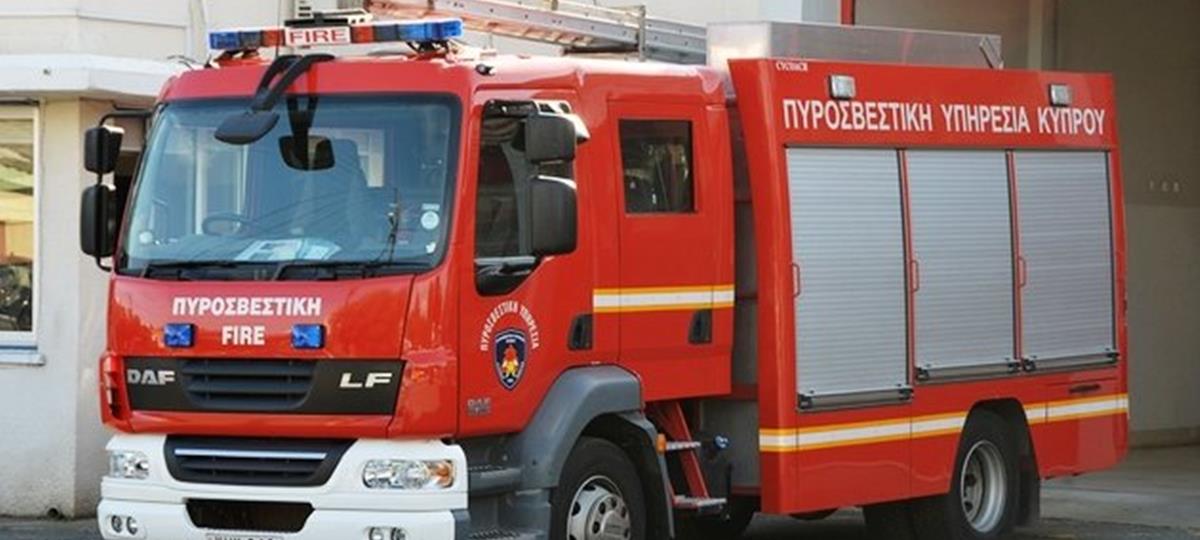 4142489749762030 262054-large