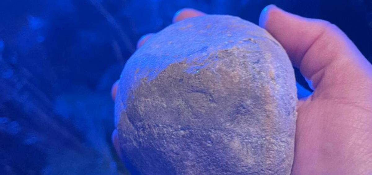 4143734281874763 FL1Akg1XMAMGXQn