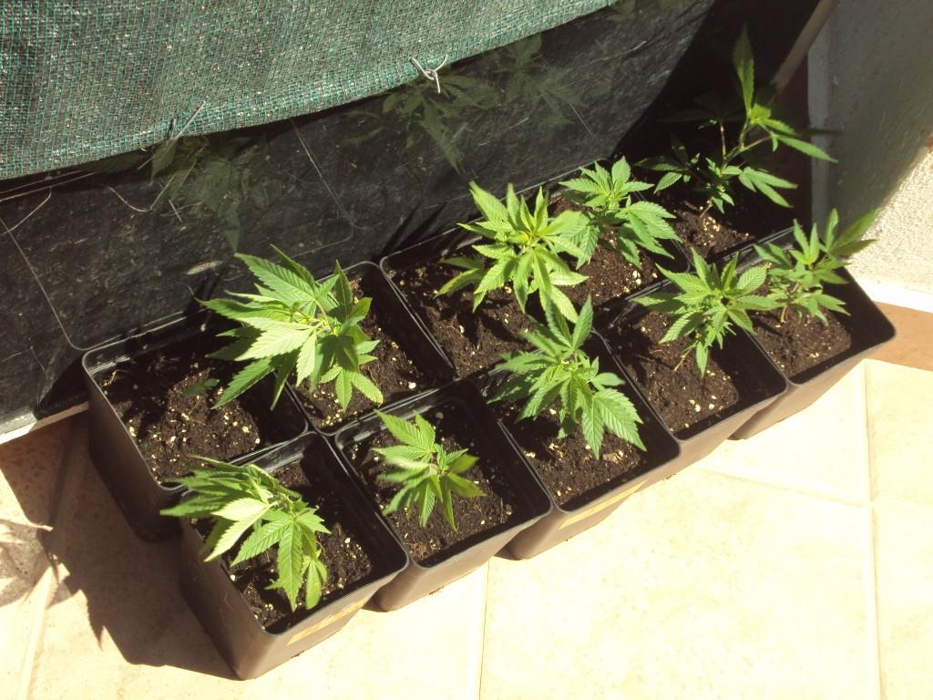 Φωτογραφία αρχείου