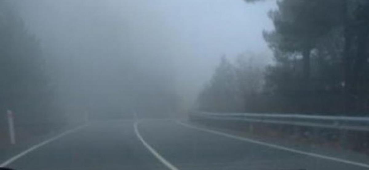 4148312585295055 omichle troodos